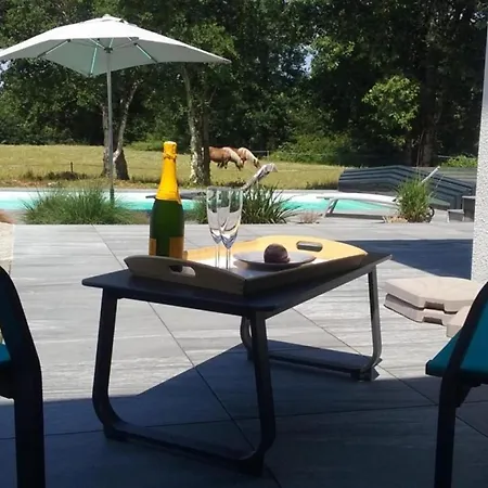 Avec Clim Et Piscine - 10 Pers. - Fr-1-881-1